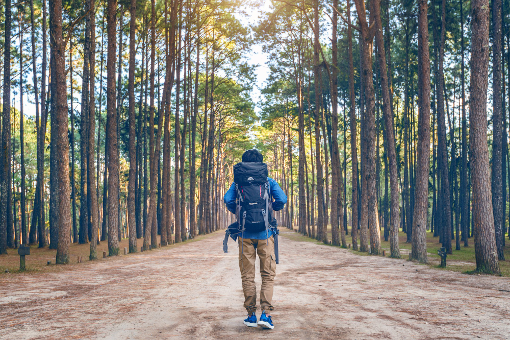Nature Walk