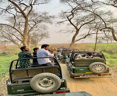 Panna Safari Booking